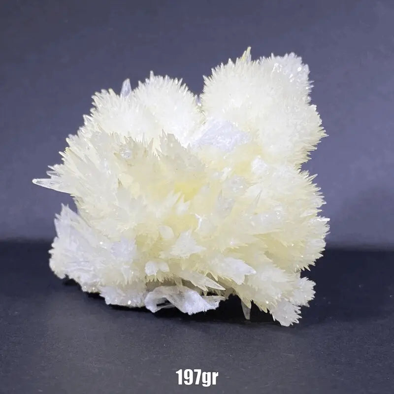 Amas blancs d'aragonite aciculaire