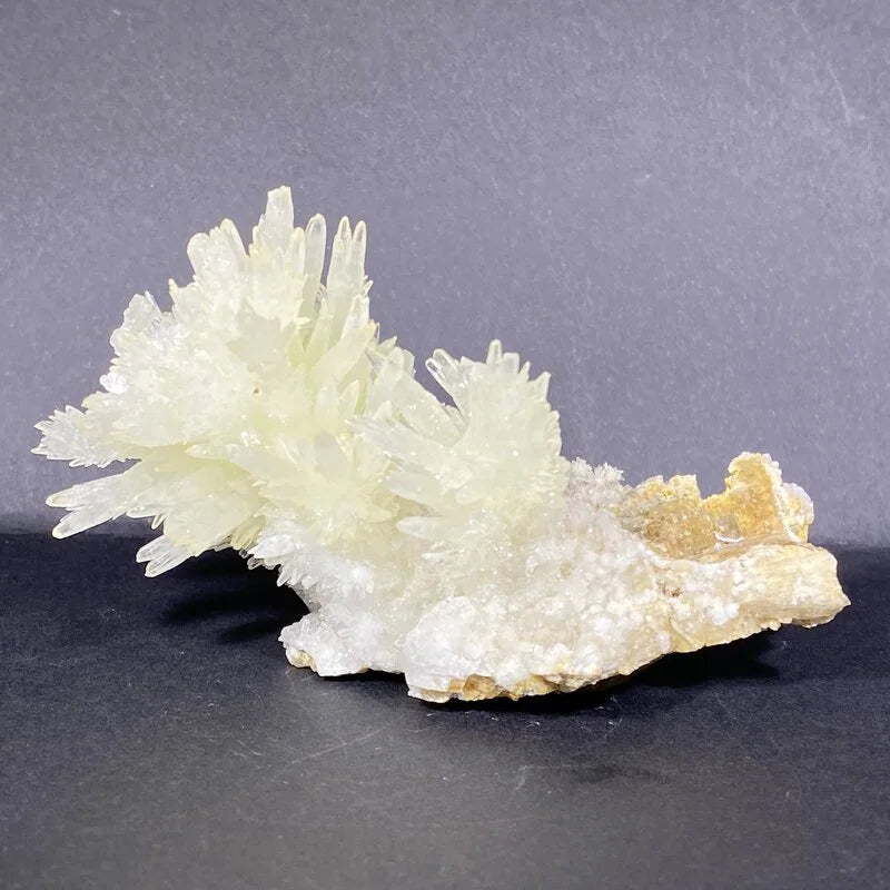 Amas blancs d'aragonite aciculaire