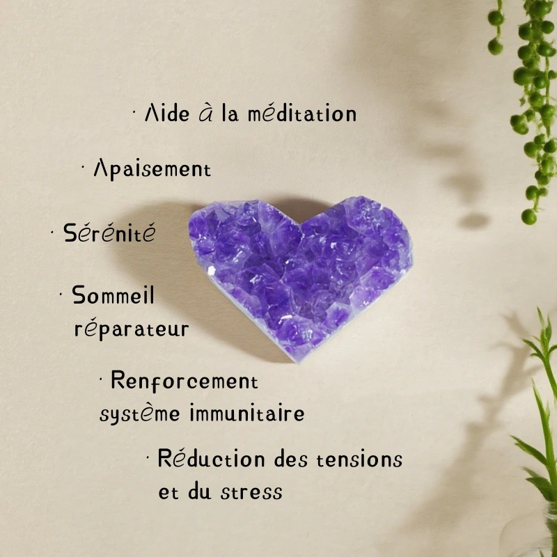 Druse Cœur Améthyste