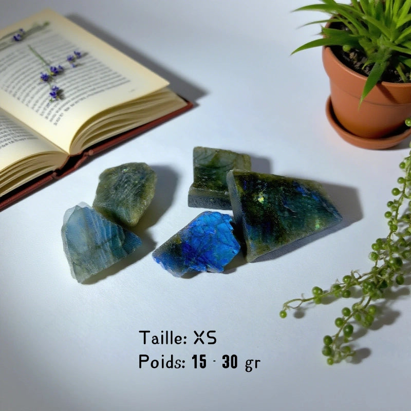 Labradorite Brute