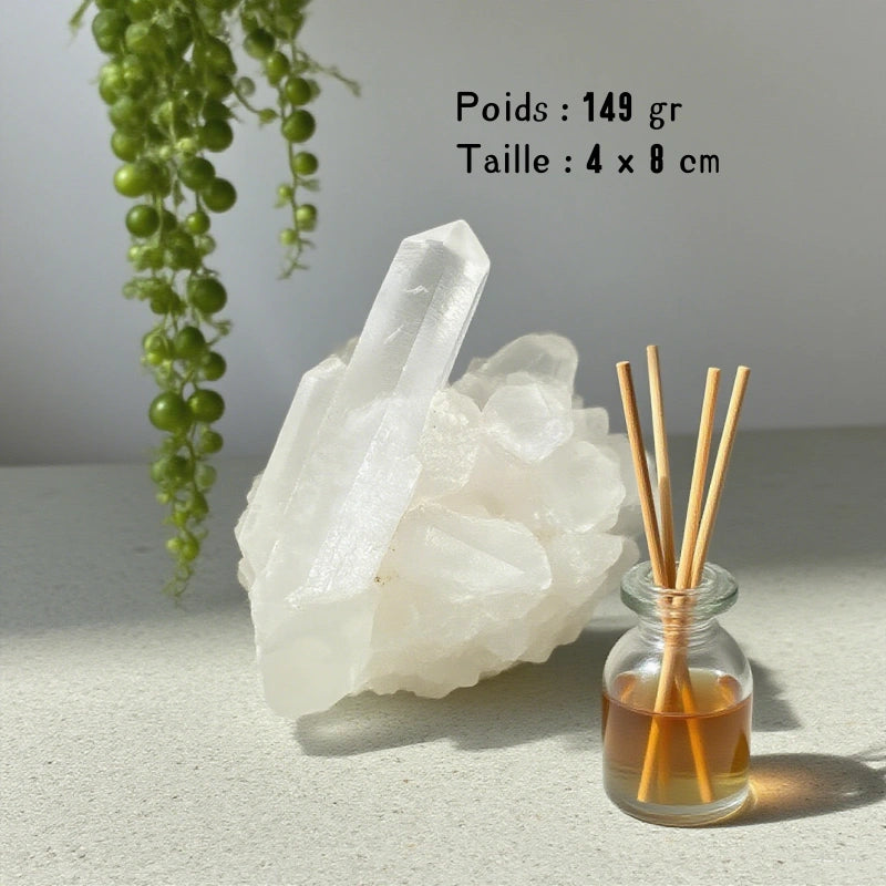 Petit Amas Cristal de Roche Brut