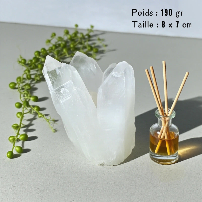 Petit Amas Cristal de Roche Brut