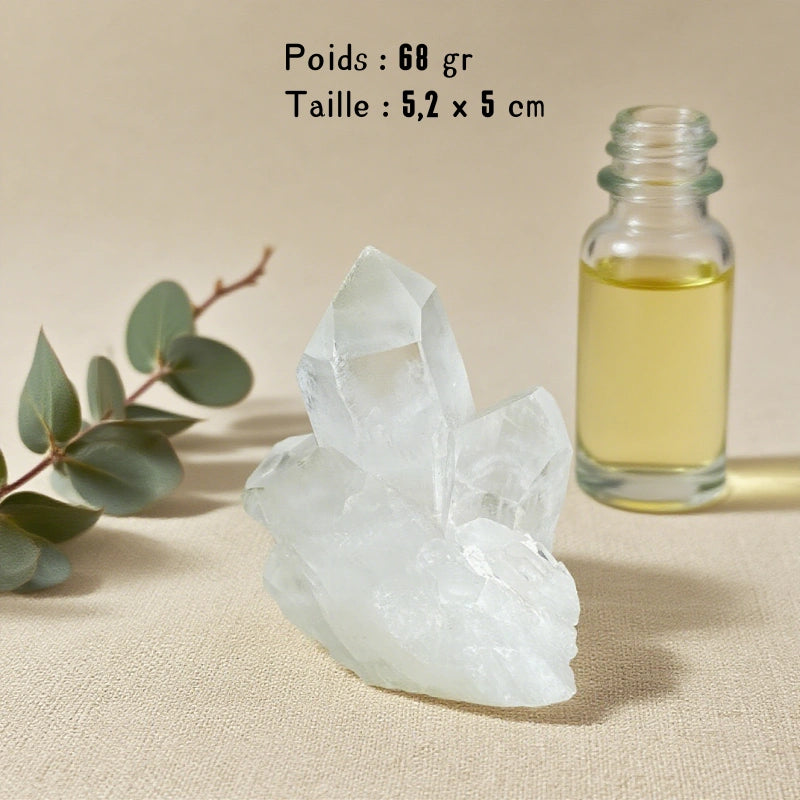 Petit Amas Cristal de Roche Brut