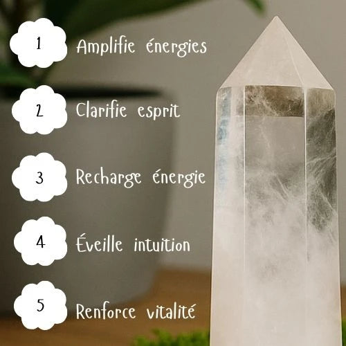 Pointe Cristal de Roche
