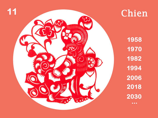 Horoscope chinois 2025 du Chien: Amour, Santé, Bien-Être, Vie sociale, Famille, Travail, Argent… Consultez vos prévisions annuelles !