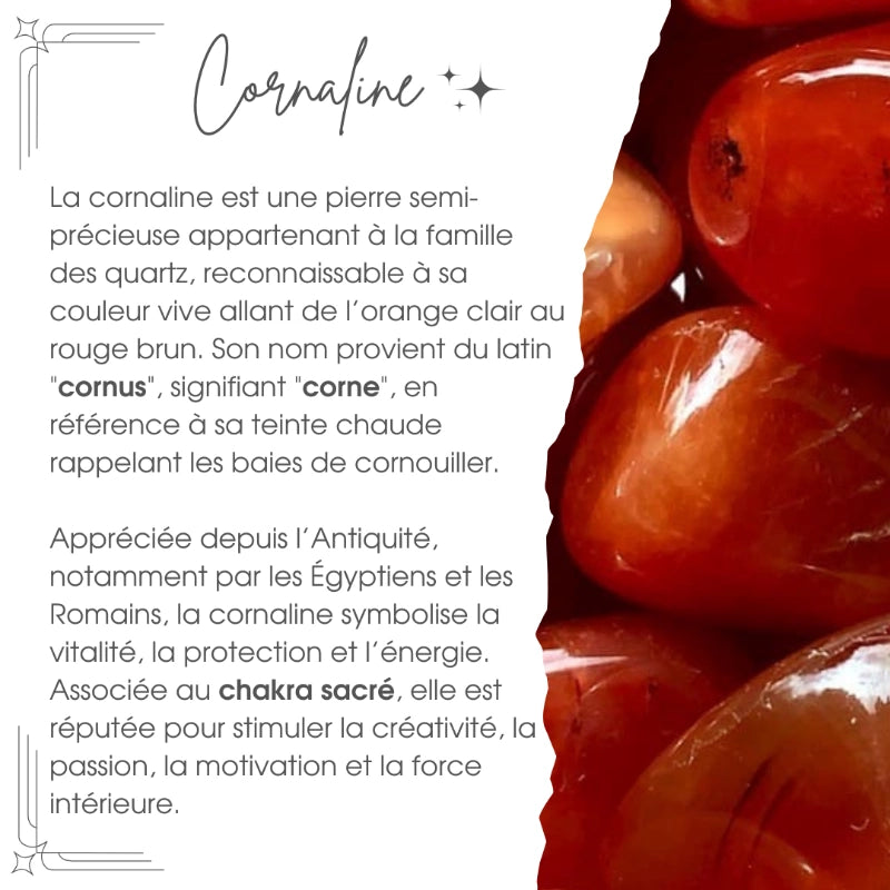 Baguette Magique en Pierre Naturel à 12 Signes du Zodiaque