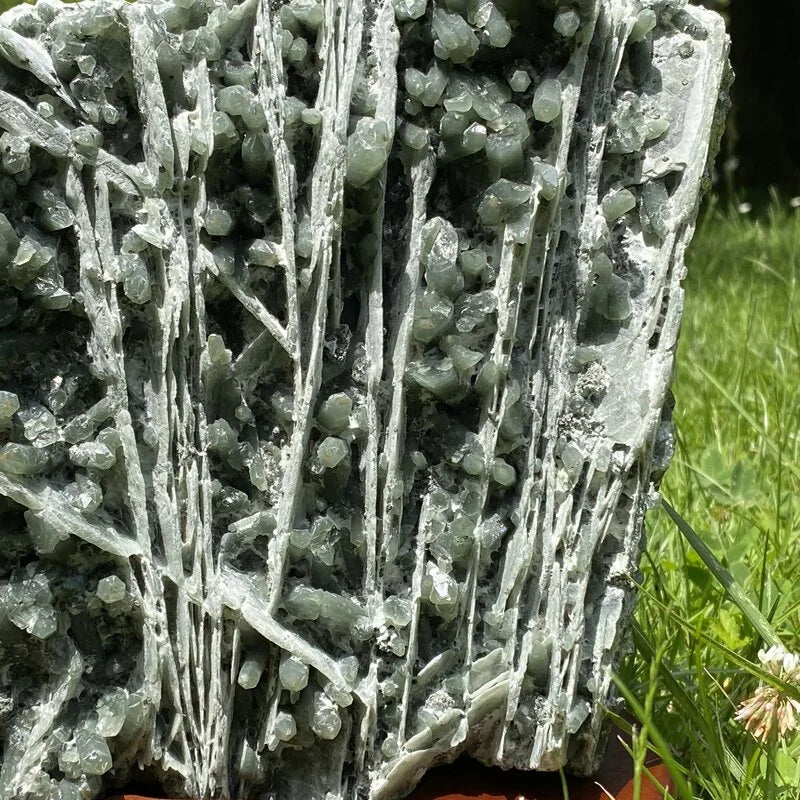 Amas de Quartz Chlorite avec le Support en Bois (Pièce rare)