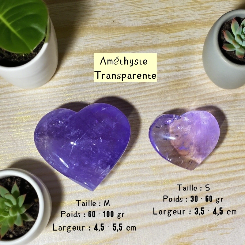 Cœur en Améthyste (Transparente / Opaque)