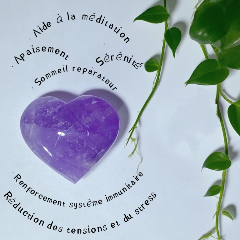 Cœur en Améthyste (Transparente / Opaque)