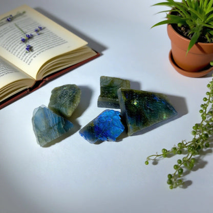 Labradorite Brute