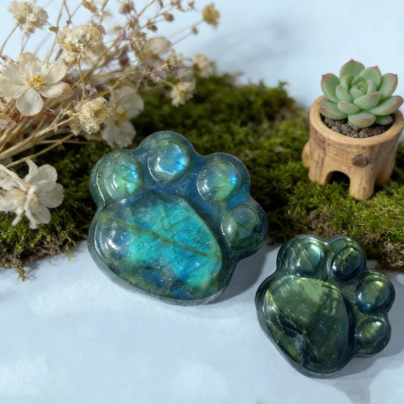 Patte de chat en Labradorite – pierre naturelle sculptée élégante et symbolique