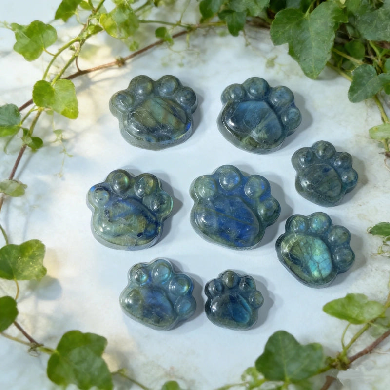 Patte de chat en Labradorite – pierre naturelle sculptée élégante et symbolique