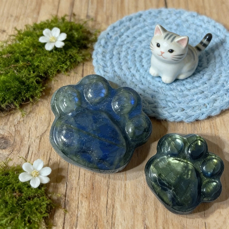 Patte de chat en Labradorite – pierre naturelle sculptée élégante et symbolique